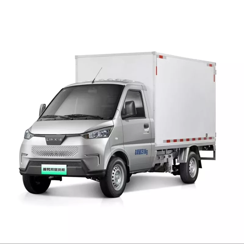 Двухмесны грузавік NEV